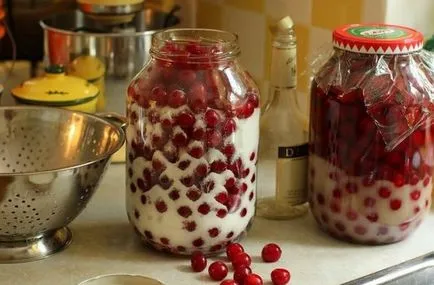 Infuzia de cireșe cele mai bune rețete de băuturi alcoolice pentru bază și non-alcoolice (vișinată fara vodca) Infuzia de cireșe cele mai bune rețete de băuturi pe bază de băuturi alcoolice și nealcoolice
