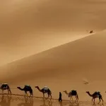Nume zone seismice de pe harta, terasfera