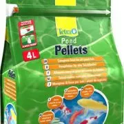 acvaristi începători (filaria) - filaria acvaristi incepatori - filaria