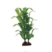 acvaristi începători (filaria) - filaria acvaristi incepatori - filaria