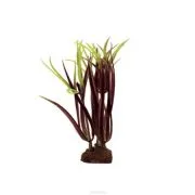 acvaristi începători (filaria) - filaria acvaristi incepatori - filaria