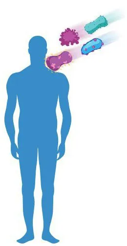 Nespecifici definition imunitate, mecanisme, factori și caracteristici