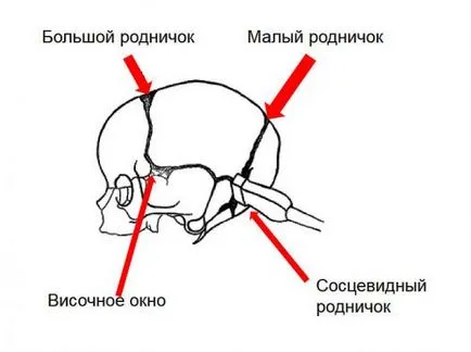 neurosonography nou-născut ce este, rata și decodare (neurosonography) neurosonography nou-născut ce este, iar rata de transcriere