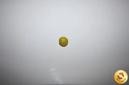 Cum sa faci o floare din plastilină Cum sa faci o floare din plastilină