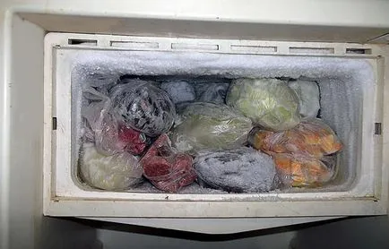 Noile caracteristici crește vechi congelator frigider