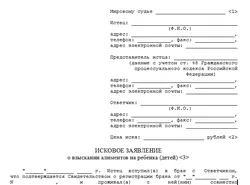 Exemplu cerere de ridicare a probelor de pensie alimentară și șabloane de cereri la instanța de judecată pentru pensia alimentară (contract plata pensiei alimentare) Exemplu cerere de ridicare a probelor de pensie alimentară și șabloane de cereri la instanța de judecată pentru pensia alimentară