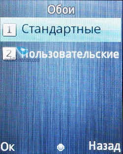 Prezentare generală telefon GSM fly OD1 (recenzie) Prezentare generală telefon GSM zbura OD1