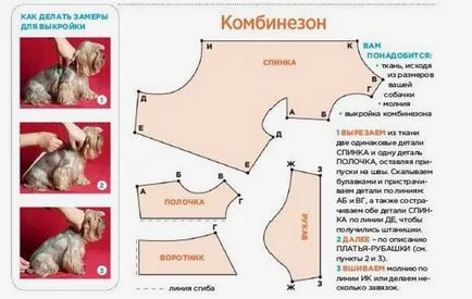 Dog haine cu propriile lor mâini - un model pentru rase mici, cu fotografii și clipuri video, sistem de tricotat (îmbrăcăminte) Dog haine cu propriile lor mâini - un model pentru rase mici, cu fotografii și clipuri video, schema de tricotat