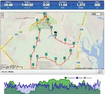 fuelband Nike Prezentare generală