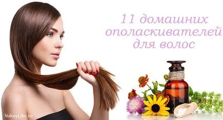 Pentru ingrijire a parului 11 rețete de acasă și recenzii (comentarii) Pentru ingrijire a parului 11 rețete de acasă și recenzii