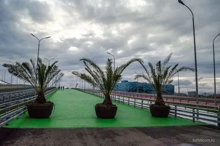 Sochi Olympic Park