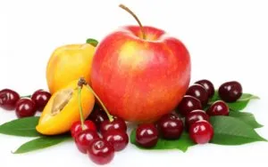 Caracteristici de fertilizare pomi fructiferi și arbuști în primăvară