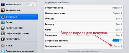 Setări de bază iPad
