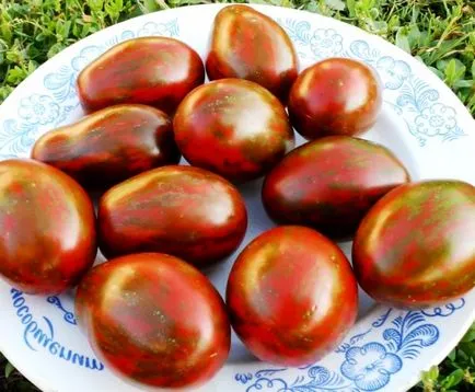 Caracteristici de cultivare de tomate Moor negru (tomate) Caracteristici cultivarea de tomate negru Moor