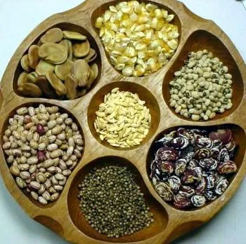 Bran in dieta cainelui, vetpraktika (câini dieta) Bran in dieta cainelui, vetpraktika