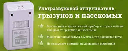 De la muștele de iarbă - insectifug plante popugivayuschie mirosul lor, metodele de aplicare