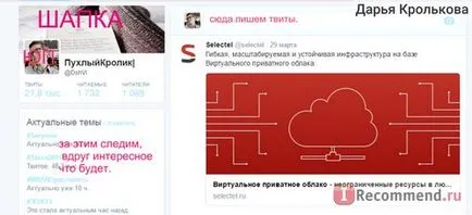 O trecere în revistă a prezentei tvitterskogo