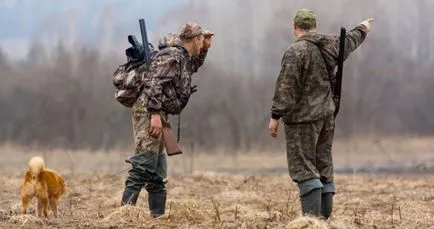 De vânătoare pentru o gaură cu un pistol și câine; cum să prindă capcane nurcă și capcanelor