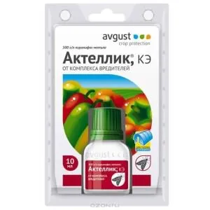 Acarieni pentru castraveți - măsurile de combatere a oamenilor mijloace, în seră, și medicamente (paianjen) Acarieni pentru castraveți - măsurile de combatere a oamenilor mijloace, în seră și droguri