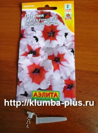 Petunia - în creștere din semințe