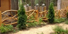 Orchard - cum să se ofere recolte bogate (video, dreptul la fructe de plante) Orchard - cum să se ofere recolte bogate video,