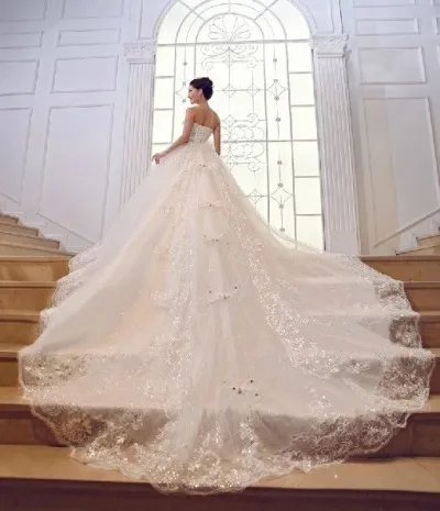 Rochie de mireasa Lush cu un tren - o zi pentru executarea viselor (curbați) rochie de mireasa Lush cu un tren - o zi să-și îndeplinească visele