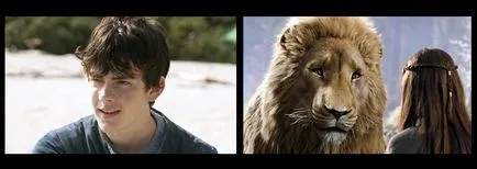 Planuri în filme, speciile și dimensiunea planurilor este de a face un film (planuri) Planuri în filme, speciile și dimensiunea planurilor este de a face un film