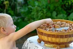 De ce nu pot avea o mulțime de nuci de la un moment dat (există) De ce nu pot avea o mulțime de nuci de la un moment dat