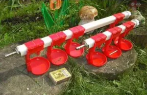 Nu jgheab pentru pui cu mâinile lor Nu jgheab pentru pui cu mâinile lor