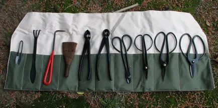 Bonsai pentru ce Bonsai pentru ce