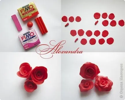 Florile din clasa maselor plastice de master