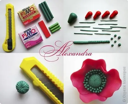 Florile din clasa maselor plastice de master