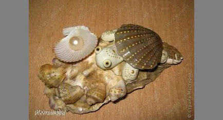 Artizanat din coji de mare, maternitate - sarcină, naștere, nutriție, educație