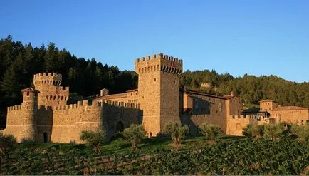 Aproape 10 regi de clădiri moderne, sub forma unui castel