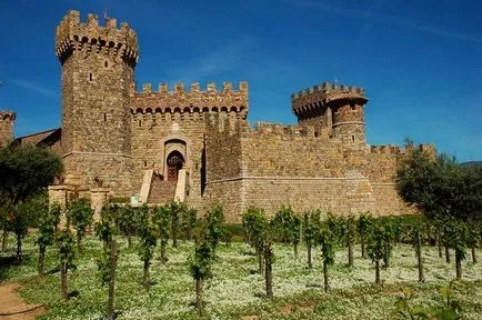 Aproape 10 regi de clădiri moderne, sub forma unui castel