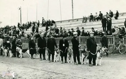câini de poliție din România de la 1920 până în prezent