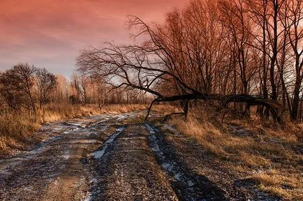 Sfaturi pentru fotografiere peisaje