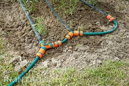 Se toarnă dreptul de gradina de legume (corect) Se toarnă dreptul de gradina de legume