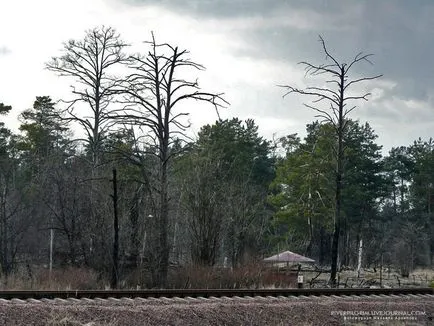 O excursie la zona Cernobâl