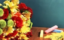 POM-poms de hîrtie cu mâinile toate de decor originale