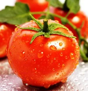 Avantaje și prejudicii de roșii organismului (utilizare) Avantaje și prejudicii de tomate pentru organism