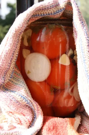 Tomate - rețete fotografie pas de gătit - Yum