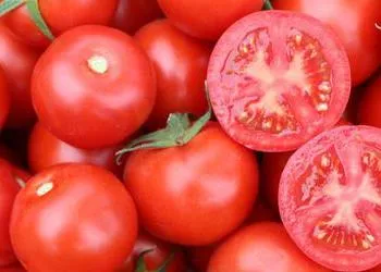 Tomate alăptarea este posibilă sau nu (poate mama care alăptează) Tomate alăptarea este posibil sau nu