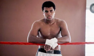 Flutter ca un fluture și intepatura ca o albină la Muhammad Ali 70 de ani! (Foto) (sportivi restante în străinătate) Flutter ca un fluture și intepatura ca o albină la Muhammad Ali 70 de ani! (Foto)