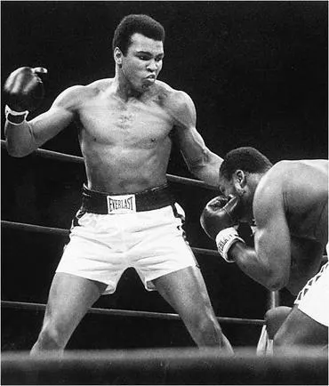 Flutter ca un fluture și intepatura ca o albină la Muhammad Ali 70 de ani! (Foto) (fluture) Flutter ca un fluture și intepatura ca o albină la Muhammad Ali 70 de ani! (Foto)