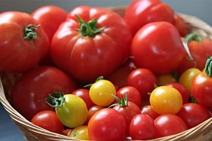 Tomate - binele și răul cauzat corpului uman, atât pentru bărbați și femei
