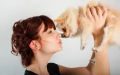 Comportamentul câinilor, comportamentul de câine, corecta comportamentul câinilor, câini lătrând se tem de ierarhie fobie