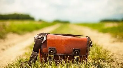 Snils pierdut modul de a repara propriile lor