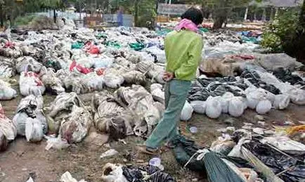 Consecințele tsunami-ul din Thailanda, în 2004, catastrofe film