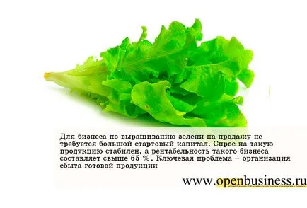 O afacere profitabilă verdeață de vânzare în creștere (afacerea) O afacere profitabilă verde în creștere de vânzare